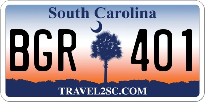 SC license plate BGR401