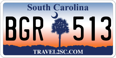 SC license plate BGR513