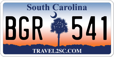 SC license plate BGR541