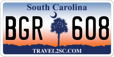 SC license plate BGR608