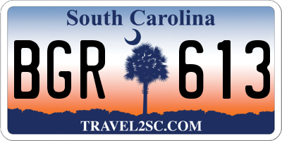 SC license plate BGR613