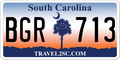 SC license plate BGR713