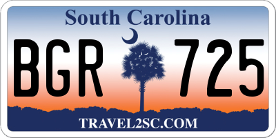 SC license plate BGR725