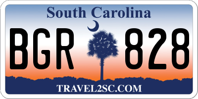 SC license plate BGR828
