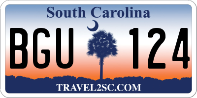 SC license plate BGU124