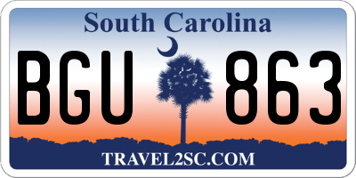 SC license plate BGU863