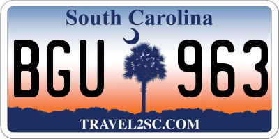 SC license plate BGU963
