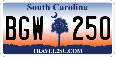 SC license plate BGW250