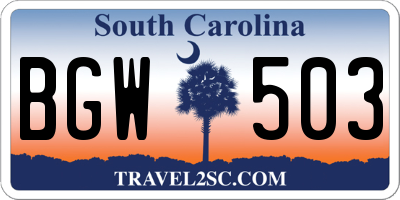SC license plate BGW503