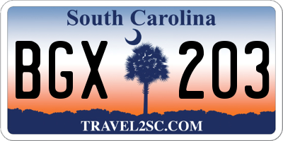 SC license plate BGX203