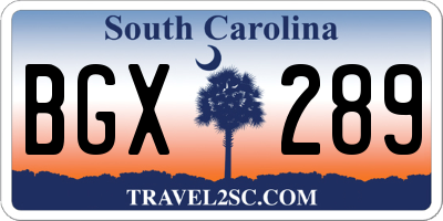 SC license plate BGX289