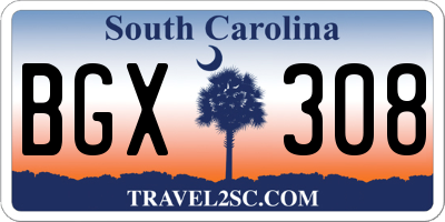 SC license plate BGX308