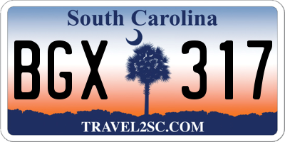 SC license plate BGX317