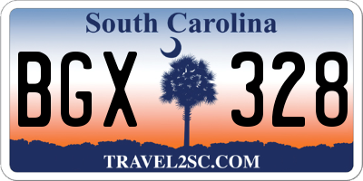 SC license plate BGX328