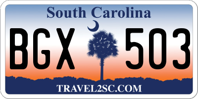 SC license plate BGX503