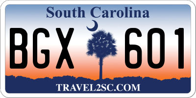 SC license plate BGX601