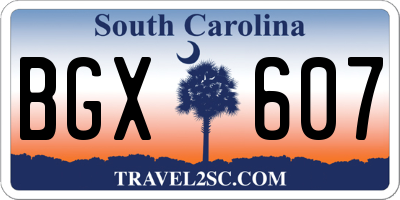 SC license plate BGX607