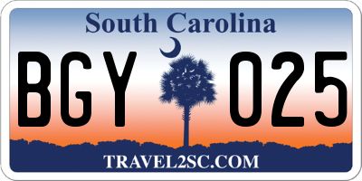 SC license plate BGY025