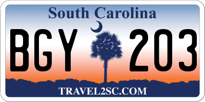 SC license plate BGY203