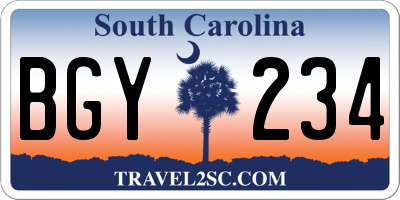 SC license plate BGY234