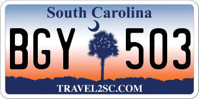 SC license plate BGY503