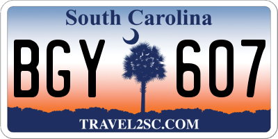SC license plate BGY607