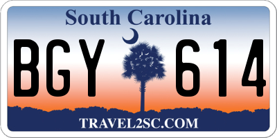 SC license plate BGY614