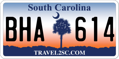 SC license plate BHA614