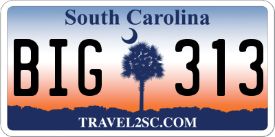 SC license plate BIG313