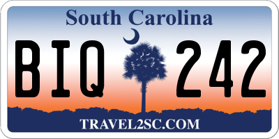 SC license plate BIQ242
