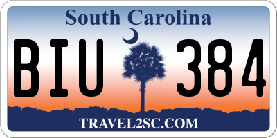 SC license plate BIU384