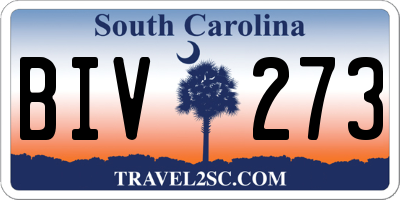 SC license plate BIV273
