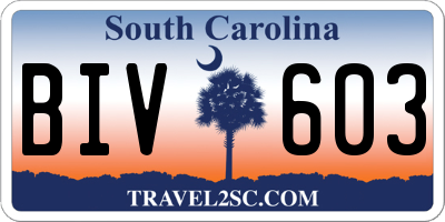SC license plate BIV603