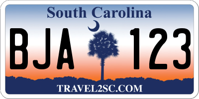 SC license plate BJA123