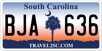 SC license plate BJA636