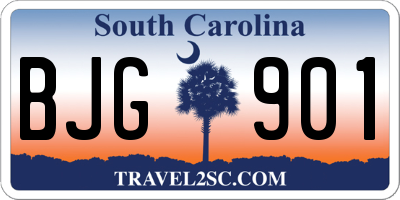 SC license plate BJG901