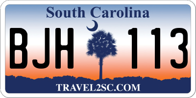 SC license plate BJH113