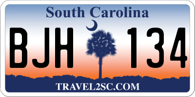 SC license plate BJH134