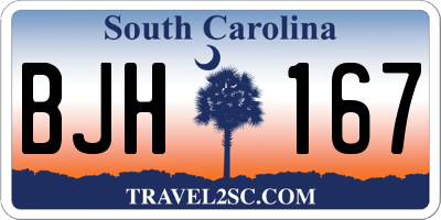SC license plate BJH167