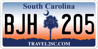 SC license plate BJH205