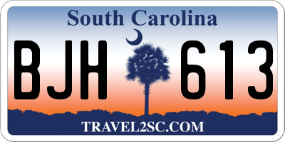 SC license plate BJH613