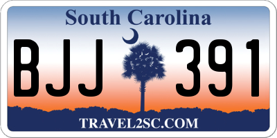 SC license plate BJJ391