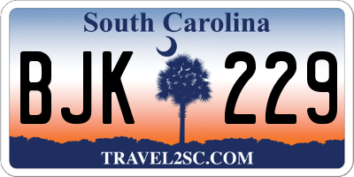 SC license plate BJK229