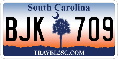 SC license plate BJK709