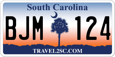 SC license plate BJM124