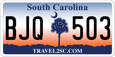 SC license plate BJQ503