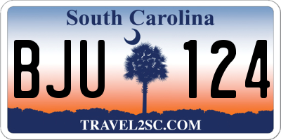 SC license plate BJU124