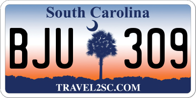 SC license plate BJU309