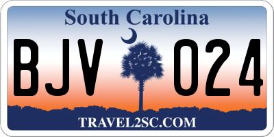 SC license plate BJV024