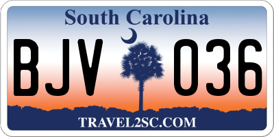 SC license plate BJV036